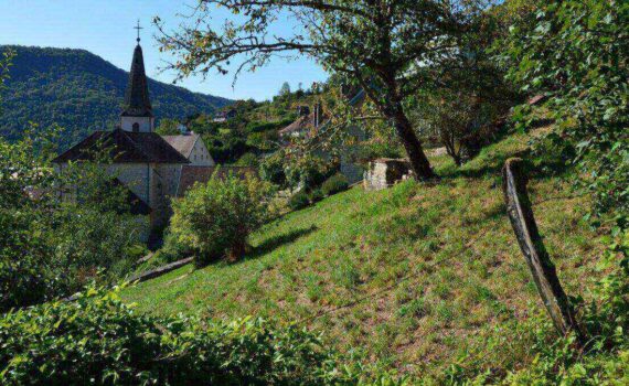 Plantation d'arbres à Rieux-de-Pelleport : conseils pratiques et réalisation professionnelle